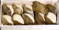 O업