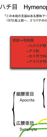 n`ڂ̌n}