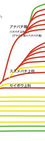 n`ڂ̌n}