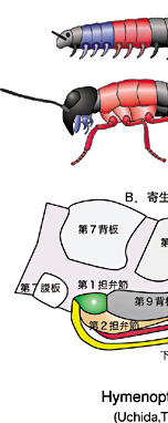 Yǂ̖͎}