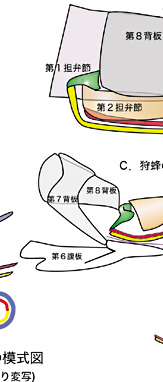 Yǂ̖͎}
